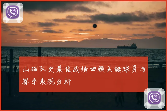 山猫队史最佳战绩回顾关键球员与赛季表现分析